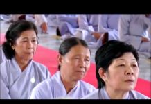 Hành Giả Tu Tịnh Độ – Thích Trí Huệ hanh gia tu tinh do thich tri hu