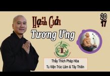 Hạnh Giải Tương Ưng – Thích Pháp Hòa hanh giai tuong ung thich phap h
