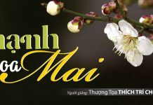Hạnh Hoa Mai – Thích Trí Chơn hanh hoa mai thich tri chon