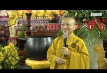 Hành hương Xuân Đinh Dậu 2017 – Thích Nhật Từ hanh huong xuan dinh dau 2017 th