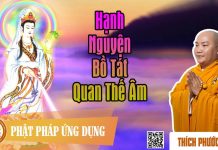 Hạnh Nguyện Bồ Tát Quán Thế Âm – Thích Phước Tiến hanh nguyen bo tat quan the am t 1