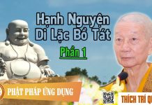 Hạnh Nguyện Di Lặc Bồ Tát phần 1 – Thích Trí Quảng hanh nguyen di lac bo tat phan 1