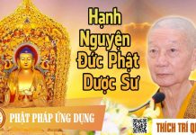 Hạnh Nguyện Đức Phật Dược Sư – Thích Trí Quảng hanh nguyen duc phat duoc su thi 1
