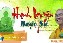 Hạnh Nguyện Dược Sư – Thích Thiện Tuệ hanh nguyen duoc su thich thien