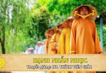 Hạnh nhẫn nhục – Thích Viên Giác hanh nhan nhuc thich vien giac