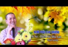 Hạnh phúc cao thượng – Thích Nữ Như Lan hanh phuc cao thuong thich nu nh 1
