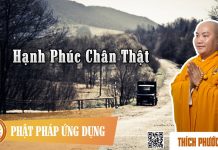 Hạnh Phúc Chân Thật – Thích Phước Tiến hanh phuc chan that thich phuoc