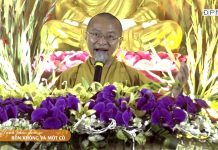 Hạnh phúc đơn sơ, bốn không và một có – Thích Nhật Từ hanh phuc don so bon khong va mo