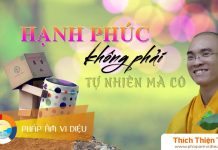 Hạnh Phúc Không Phải Tự Nhiên Mà Có – Thích Thiện Tuệ hanh phuc khong phai tu nhien ma