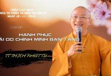 Hạnh Phúc Phải Do Chính Mình Ban Tặng – Thích Nhật Từ hanh phuc phai do chinh minh ban