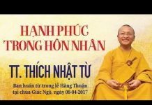 Hạnh Phúc Trong Hôn Nhân – Thích Nhật Từ hanh phuc trong hon nhan thich n