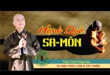 Hạnh Quả Sa Môn – Thích Pháp Hòa hanh qua sa mon thich phap hoa