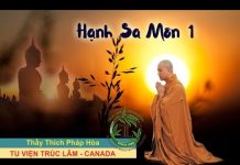 Hạnh Sa Môn Phần 1 – Thích Pháp Hòa hanh sa mon phan 1 thich phap ho
