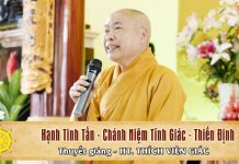 Hạnh tinh tấn – chánh niệm tĩnh giác – thiền định – Thích Viên Giác hanh tinh tan chanh niem tinh gi