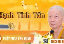 Hạnh Tinh Tấn – Thích Trí Quảng hanh tinh tan thich tri quang