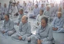 Hành Trang Trở Về Nhà – Thích Nữ Như Lan hanh trang tro ve nha thich nu n