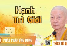 Hạnh Trì Giới – Thích Trí Quảng hanh tri gioi thich tri quang