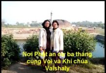 Hành Trình Tỉnh Thức 2 – Thích Nguyên Hạnh hanh trinh tinh thuc 2 thich ngu