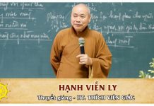 Hạnh viễn ly – Thích Viên Giác hanh vien ly thich vien giac