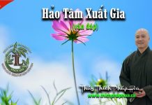 Hảo Tâm Xuất Gia – Thích Pháp Hòa hao tam xuat gia thich phap hoa