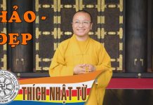 Hảo và đẹp (07/10/2004) – Thích Nhật Từ hao va dep 07 10 2004 thich nhat