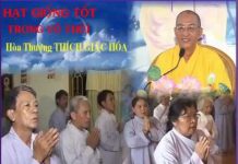 Hạt Giống Tốt Trong Quả Thúi – Thích Giác Hóa hat giong tot trong qua thui thi