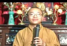 Hạt Giống Và Điều Kiện – Thích Nhật Từ – Phần 1/2 hat giong va dieu kien thich nha 1
