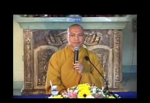 Hãy Bảo Vệ Mầm Sống – Thích Trí Chơn hay bao ve mam song thich tri ch