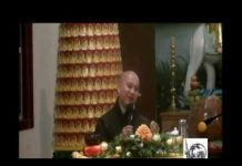 Hãy Cảm Ơn – Thích Pháp Hòa hay cam on thich phap hoa
