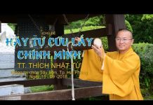 Hãy Cứu Lấy Chính Mình – Thích Nhật Từ hay cuu lay chinh minh thich nha