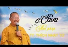 Hãy Làm Con Chim Đầu Đàn Phật Pháp – Thích Nhật Từ hay lam con chim dau dan phat ph