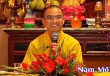 Hãy Phát Tâm Như Thế – Thích Thiện tuệ hay phat tam nhu the thich thien