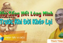 Hãy Sống Hết Lòng Mình Trước Khi Đời Khép Lại – Thích Thiện Tuệ hay song het long minh truoc khi