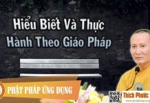 Hiểu Biết Và Thực Hành Theo Giáo Pháp – Thích Phước Nghiêm 2016 hieu biet va thuc hanh theo giao
