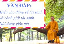 Hiểu cho đúng về tái sanh và cảnh giới tái sanh, nội dung giấc mơ – Thích Nhật Từ hieu cho dung ve tai sanh va can
