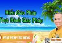 Hiểu Giáo Pháp, Thực Hành Giáo Pháp – Thích Phước Nghiêm 2016 hieu giao phap thuc hanh giao ph