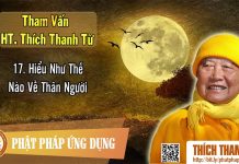 Hiểu Như Thế Nào Về Thân Người – Tham vấn HT Thích Thanh Từ 17 hieu nhu the nao ve than nguoi t