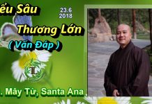 Hiểu Sâu Thương Lớn (Vấn Đáp) – Thích Pháp Hòa hieu sau thuong lon van dap thic