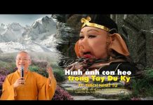 Hình ảnh con heo trong Tây Du Ký – Thích Nhật Từ hinh anh con heo trong tay du ky
