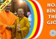 Hòa Bình Thế Giới – Thích Nhật Từ hoa binh the gioi thich nhat tu