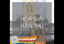 Hóa giải hận thù – Thích Nhật Từ hoa giai han thu thich nhat tu