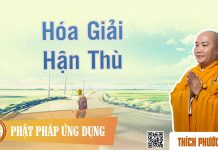 Hóa Giải Hận Thù – Thích Phước Tiến hoa giai han thu thich phuoc tie