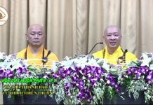 Hóa Giải Muộn Phiền Phần 1 – Thích Thiện Thuận hoa giai muon phien phan 1 thich