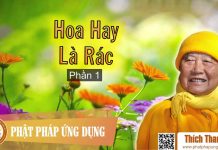 Hoa Hay Là Rác Phần 1 – Thích Thanh Từ hoa hay la rac phan 1 thich than