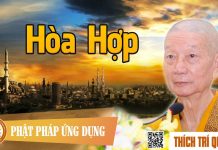 Hòa Hợp – Thích Trí Quảng hoa hop thich tri quang
