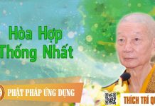 Hòa Hợp Thống Nhất – Thích Trí Quảng giảng 2016 hoa hop thong nhat thich tri qua