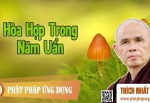 Hòa Hợp Trong Năm Uẩn – Thích Nhất Hạnh hoa hop trong nam uan thich nhat