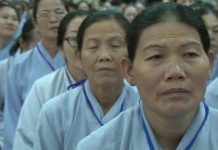 Hòa Là Gốc An Vui – Thích Chân Tính hoa la goc an vui thich chan tin