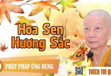 Hoa Sen Hương Sắc – Thích Trí Quảng hoa sen huong sac thich tri quan