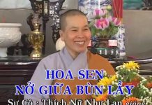 Hoa Sen Nở Giữa Bùn Lầy – Thích Nữ Như Lan hoa sen no giua bun lay thich nu
